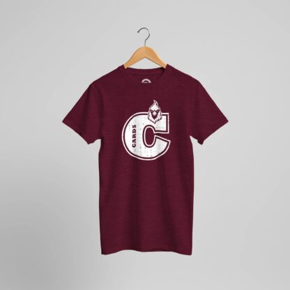 5d6b0d19-c30f-4a39-a3da-ae72970a7115