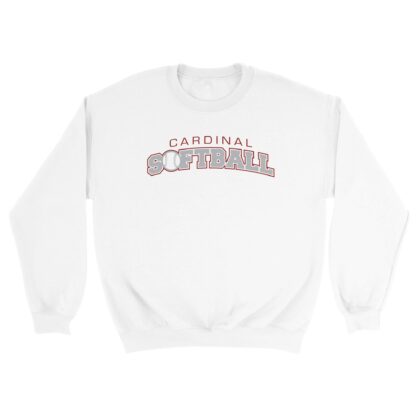 43c11f1a-debb-40af-bbfd-e27cc1545121